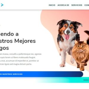 Diseño de paginas web y tiendas online CDMX